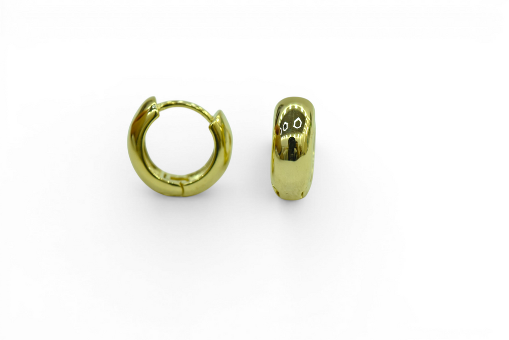 EV-202 Earrings
