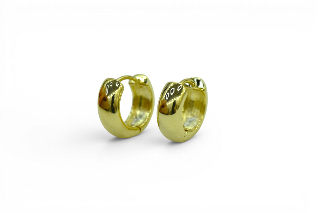 EV-202 Earrings