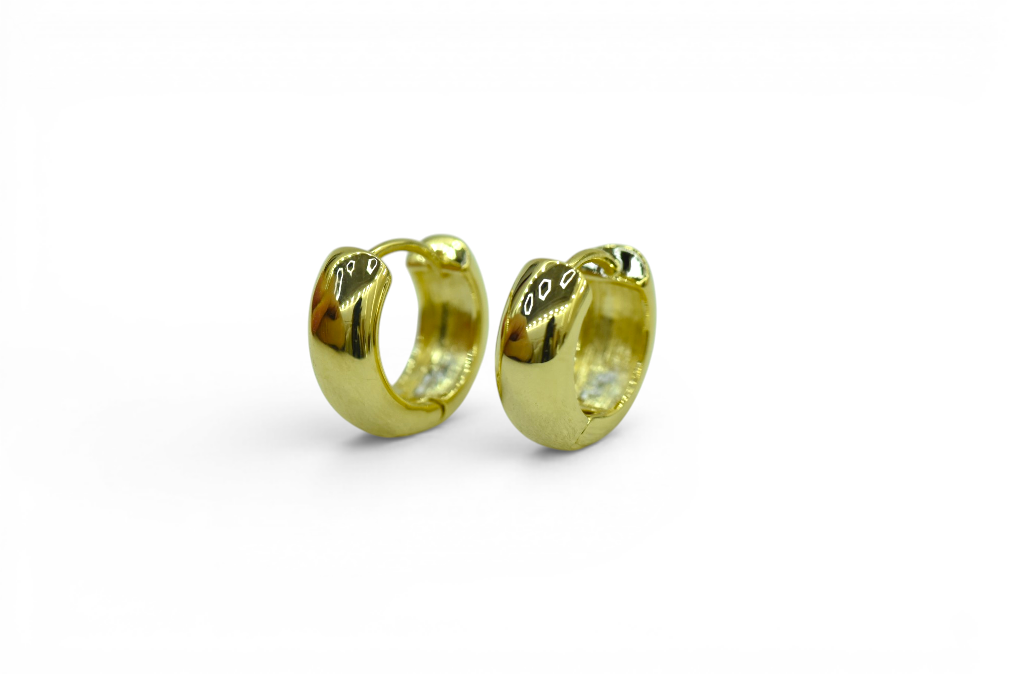 EV-202 Earrings