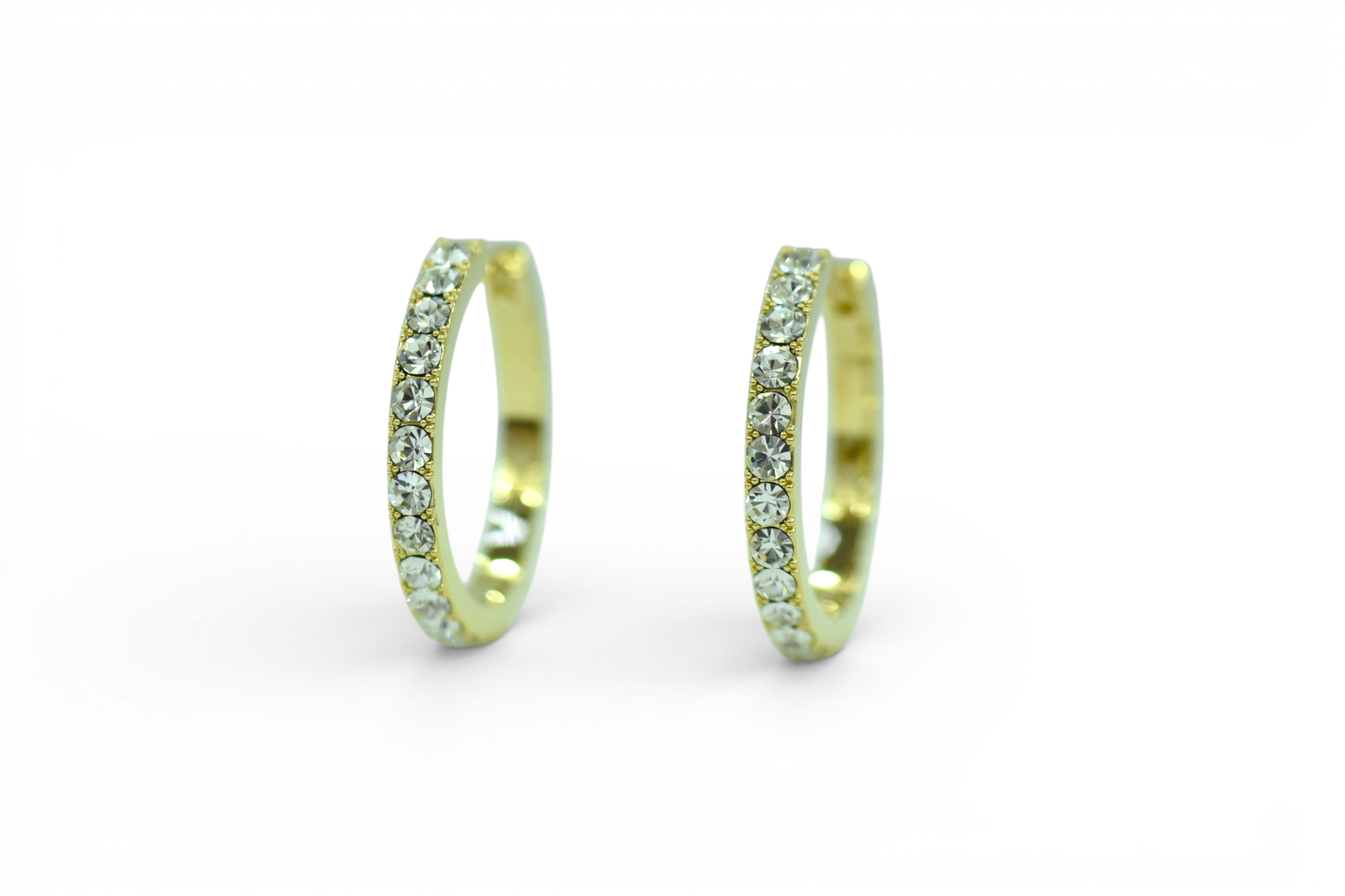 EV-207 Earrings