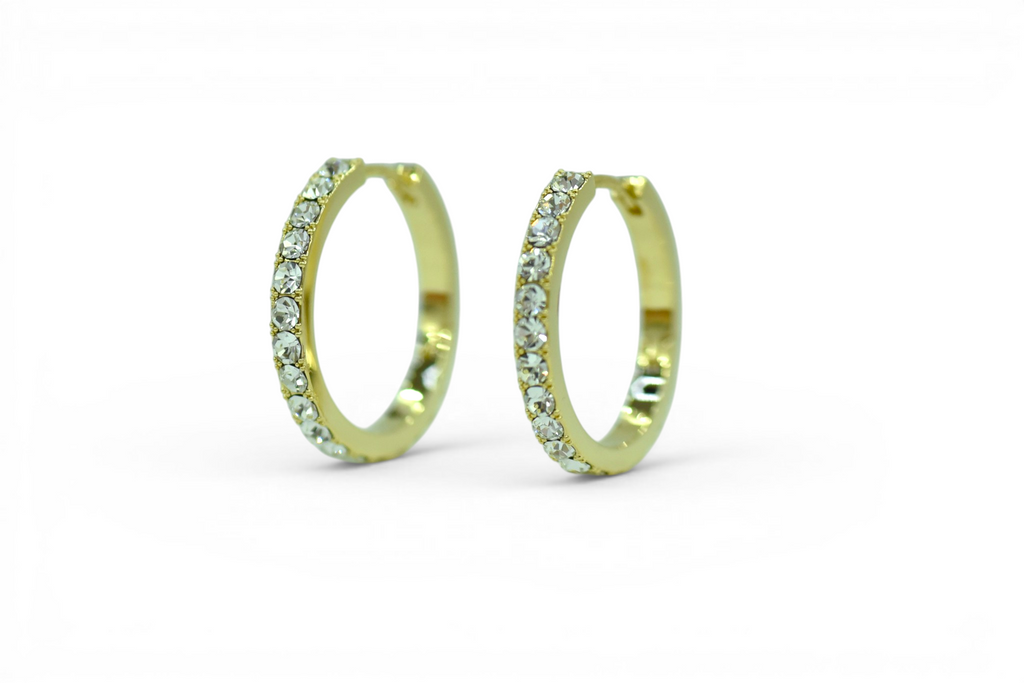 EV-207 Earrings