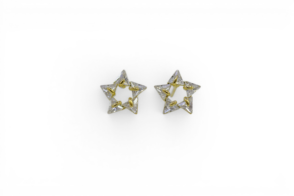 EV-163 Earrings