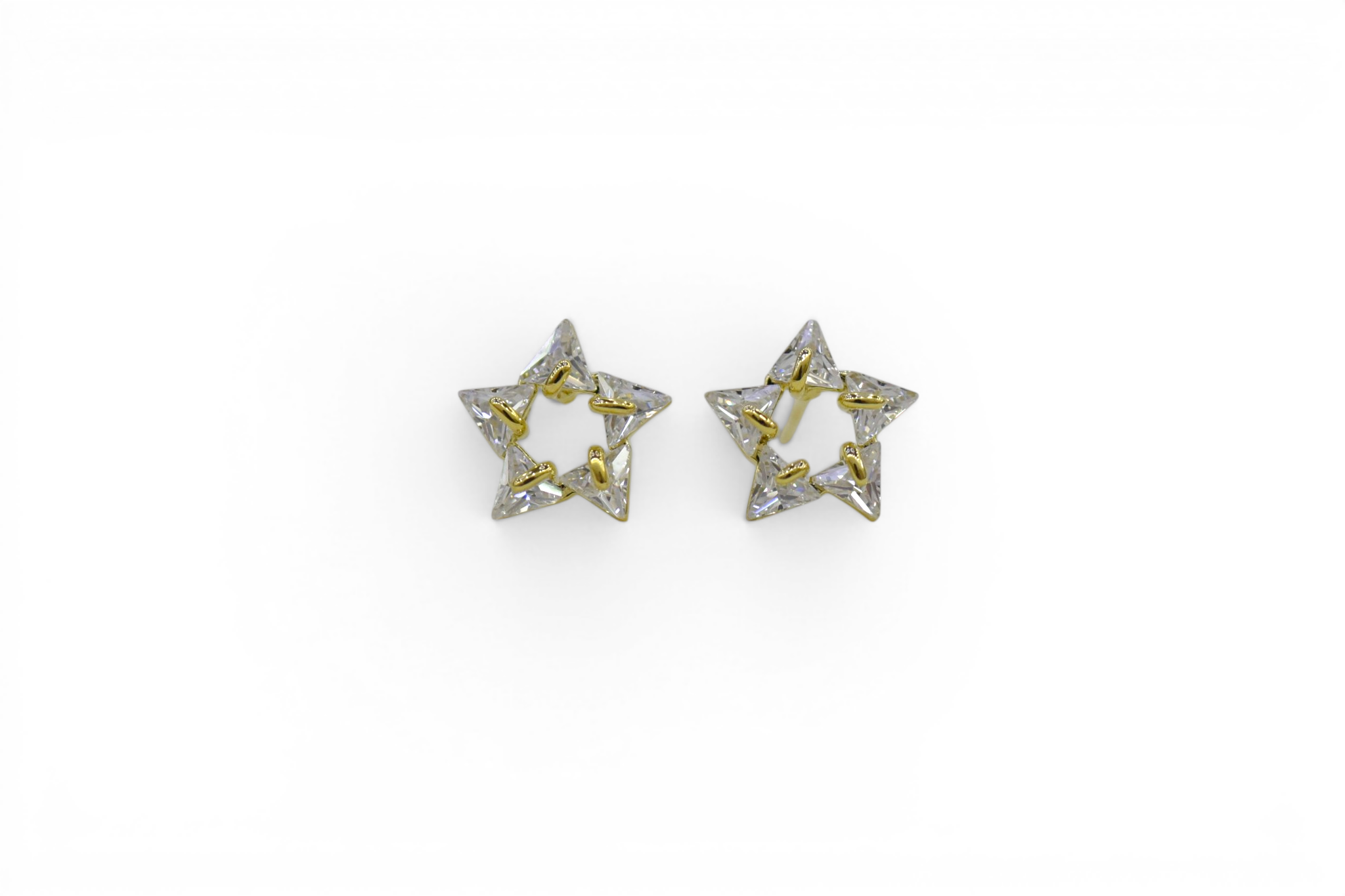 EV-163 Earrings