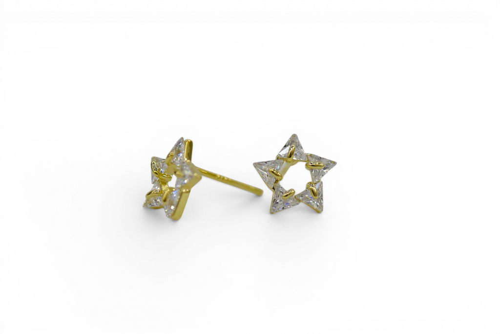 EV-163 Earrings