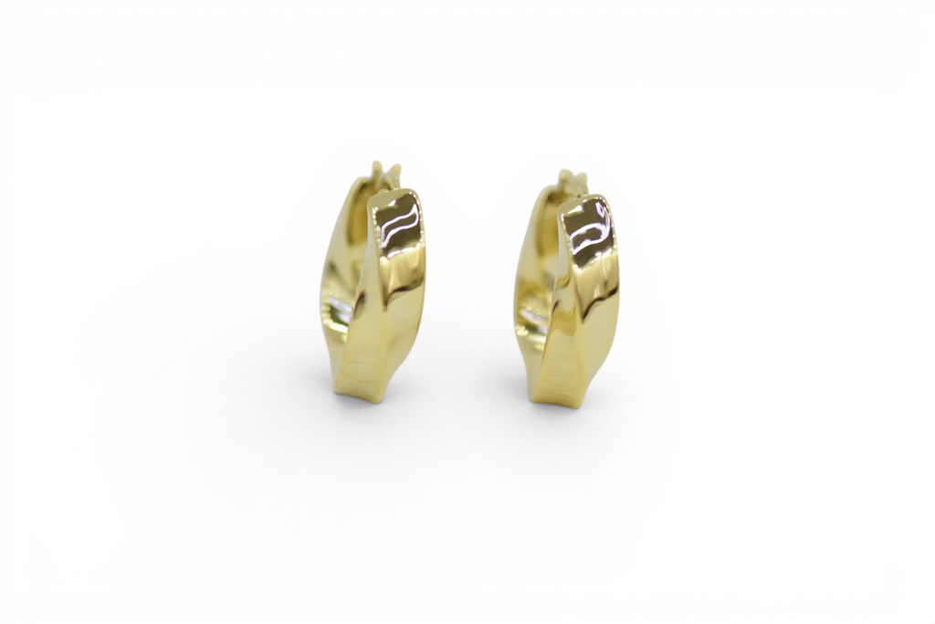 EV-173 Earrings