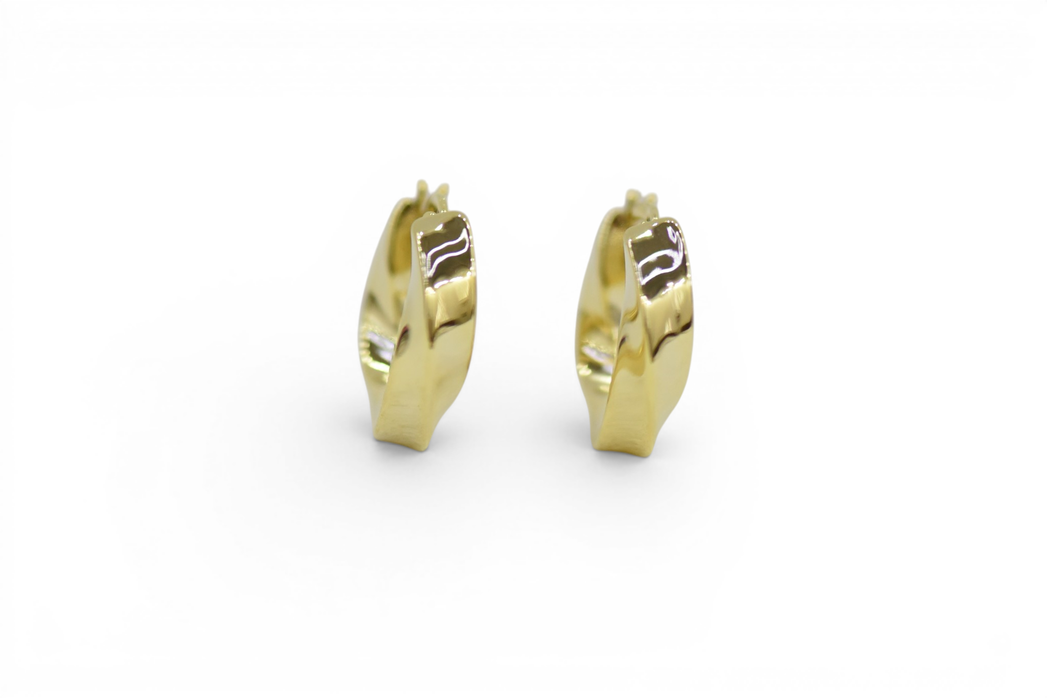EV-173 Earrings