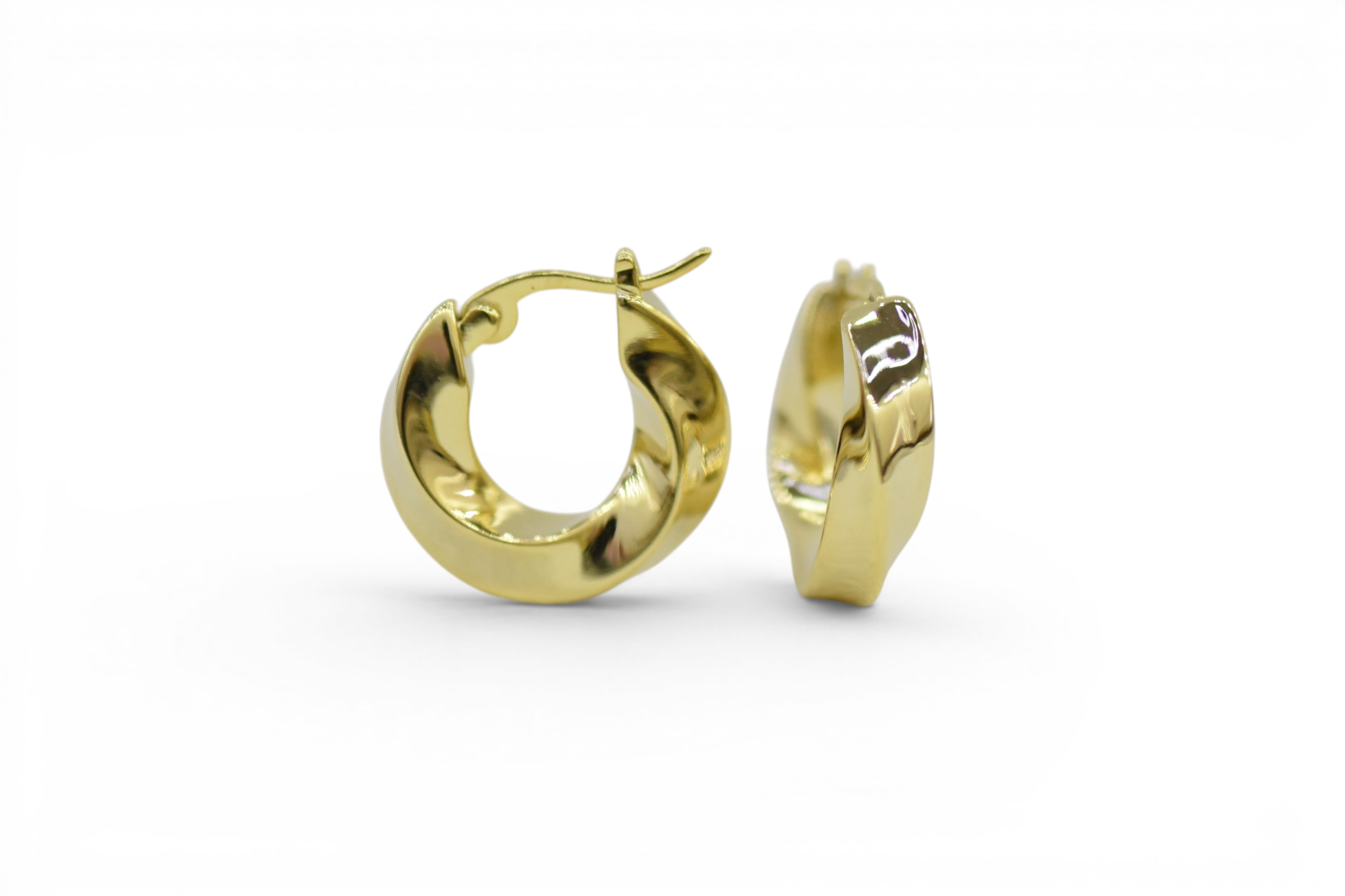 EV-173 Earrings