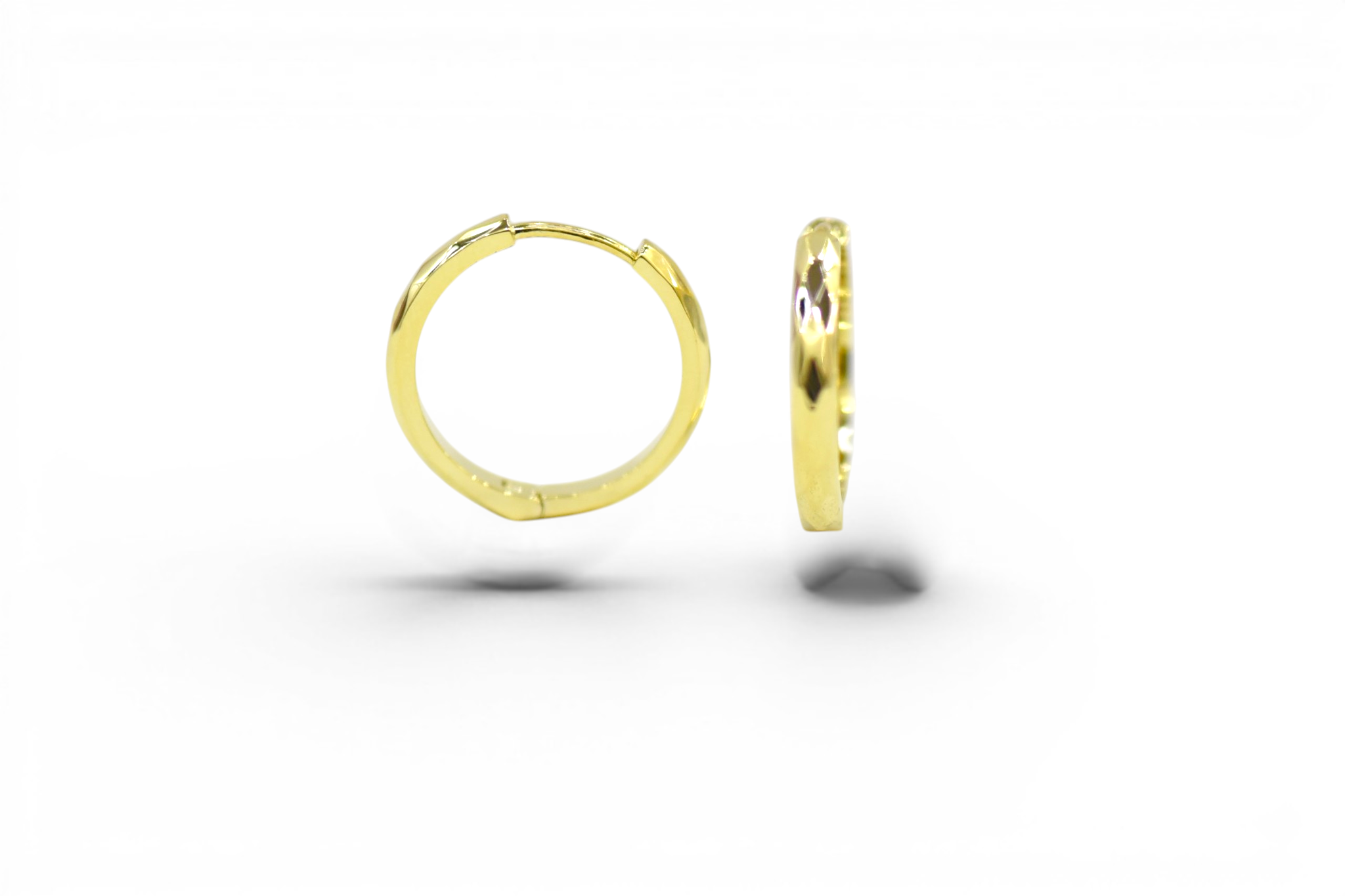 EV-175 Earrings