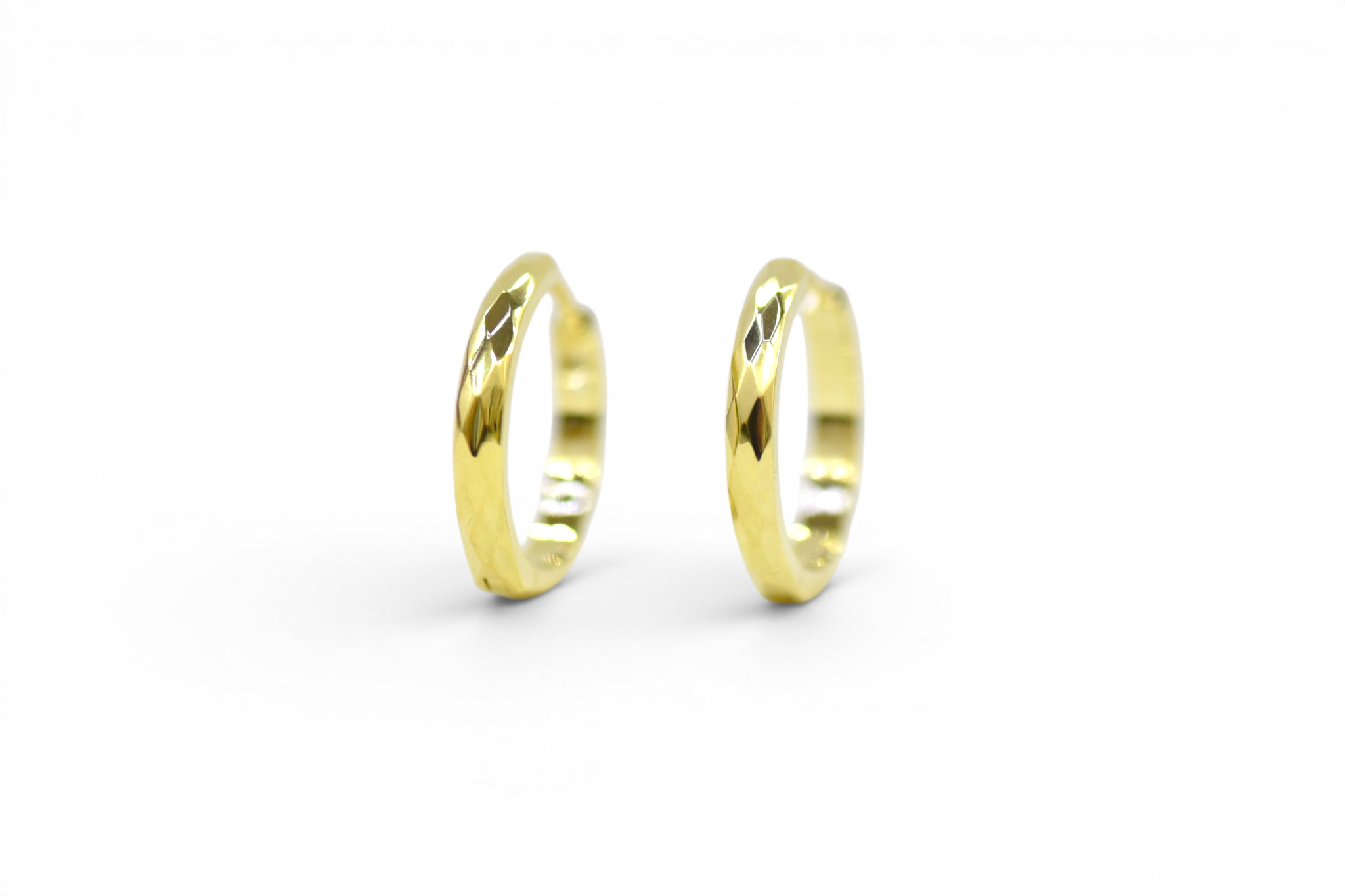 EV-175 Earrings