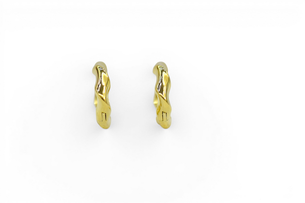EV-177 Earrings