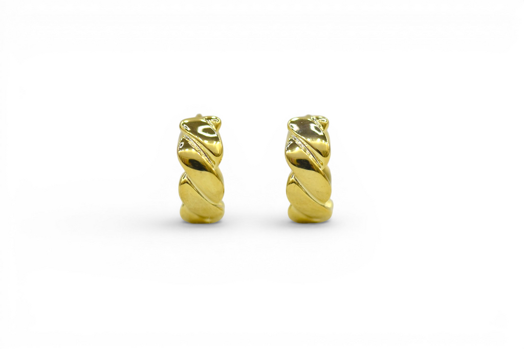 EV-178 Earrings