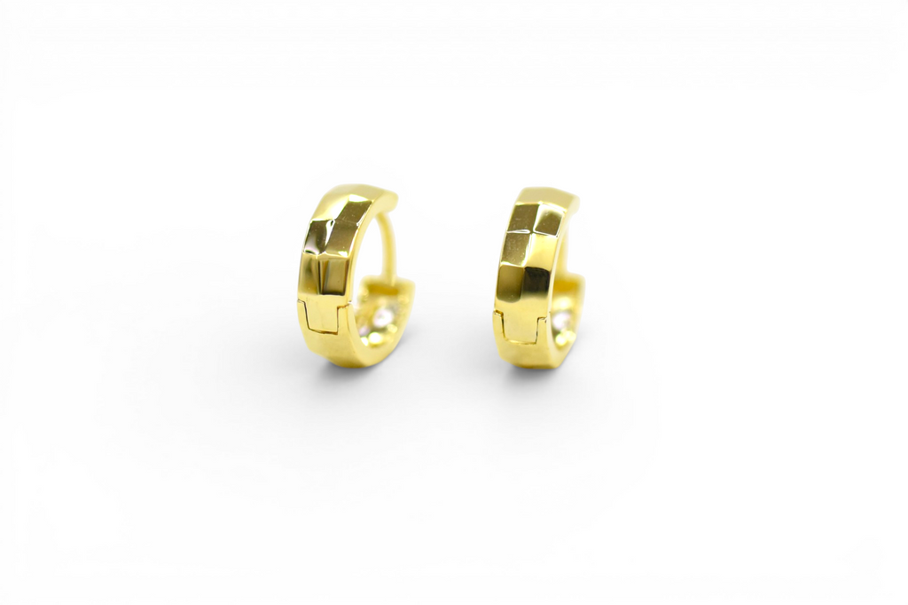 EV-184 Earrings