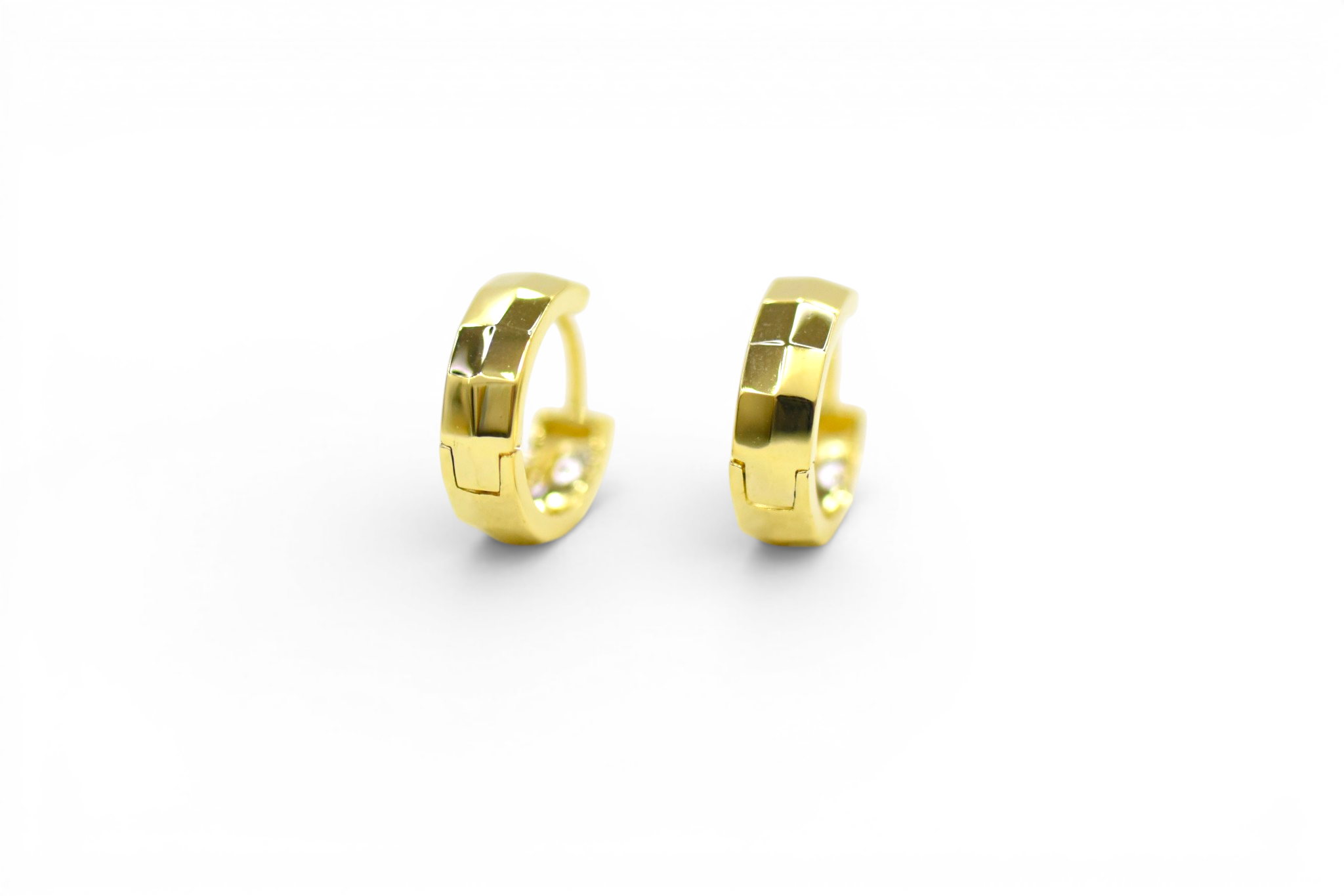 EV-184 Earrings