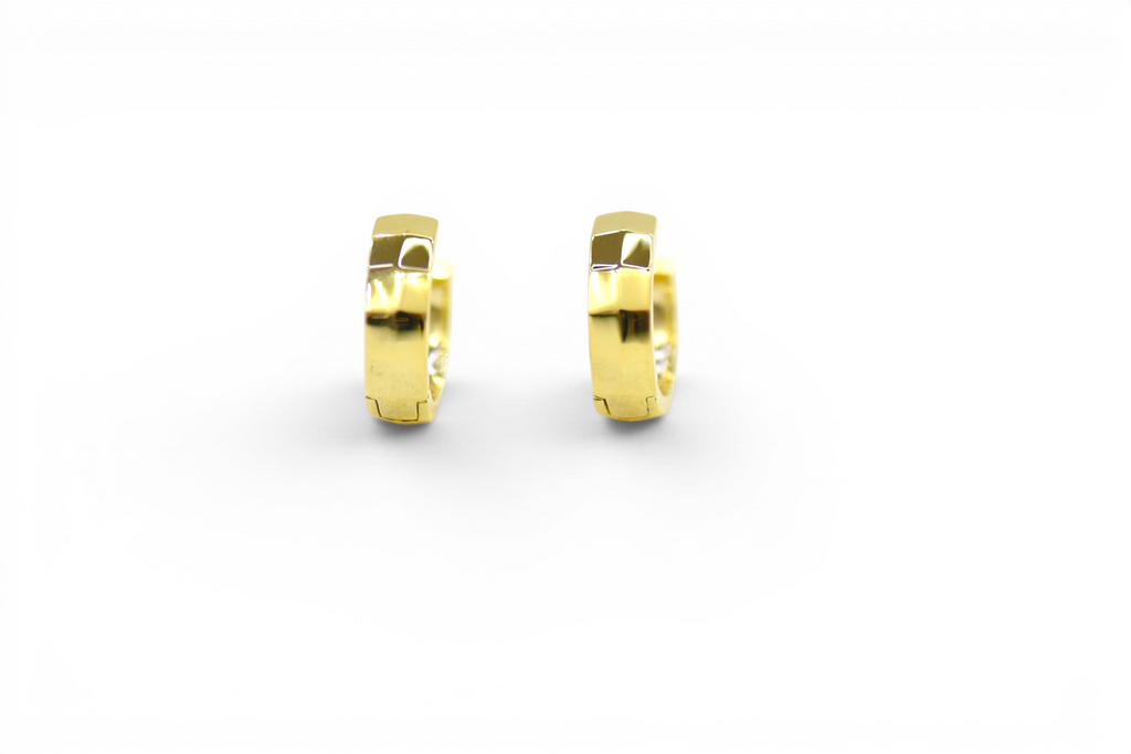 EV-184 Earrings