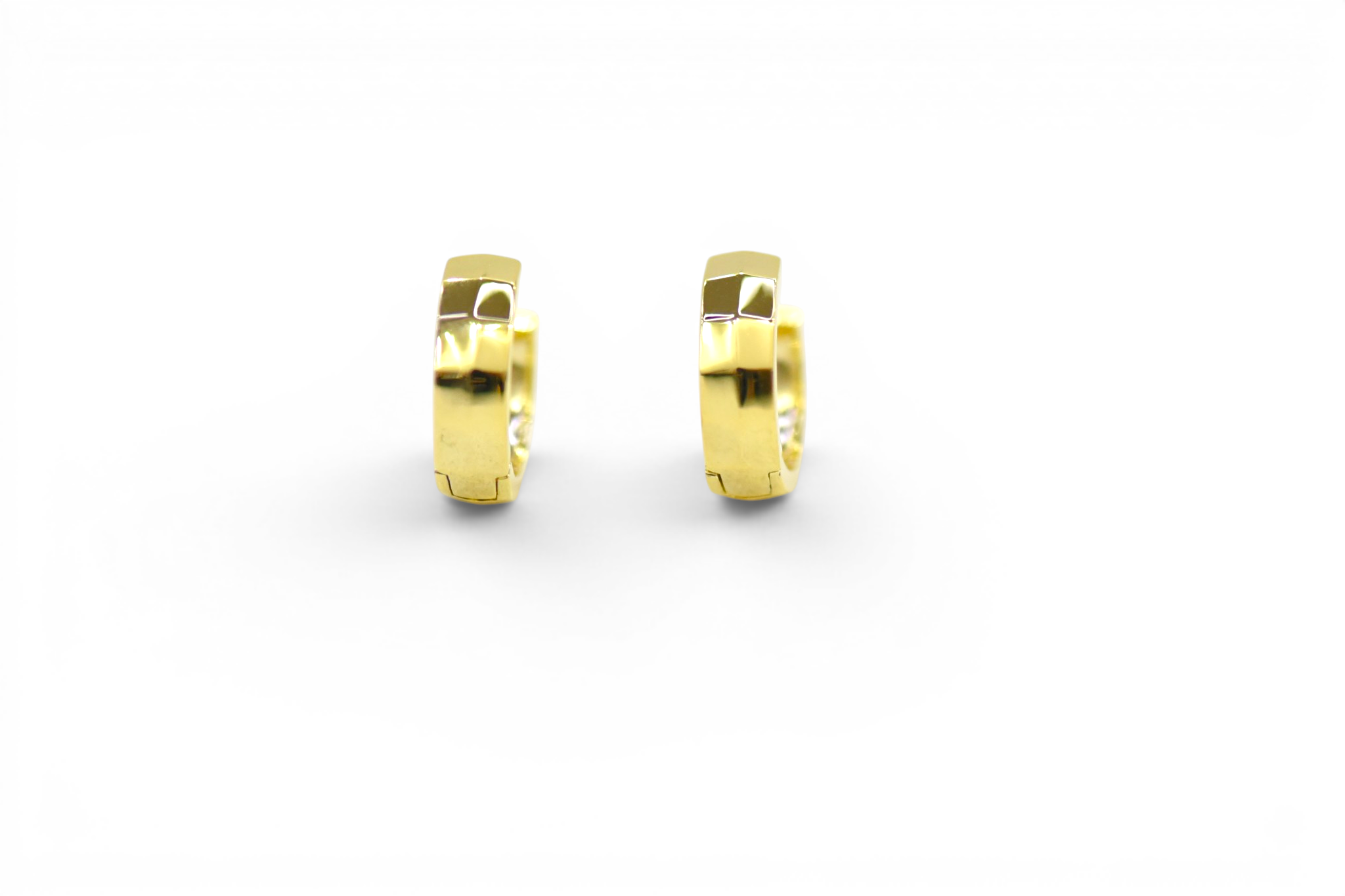 EV-184 Earrings