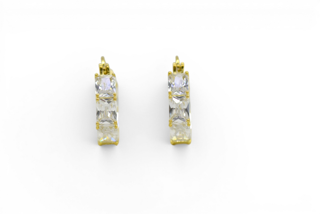 EV-187 Earrings