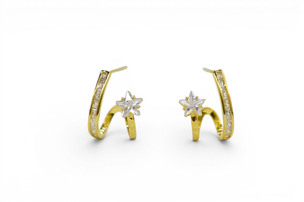 EV-189 Earrings