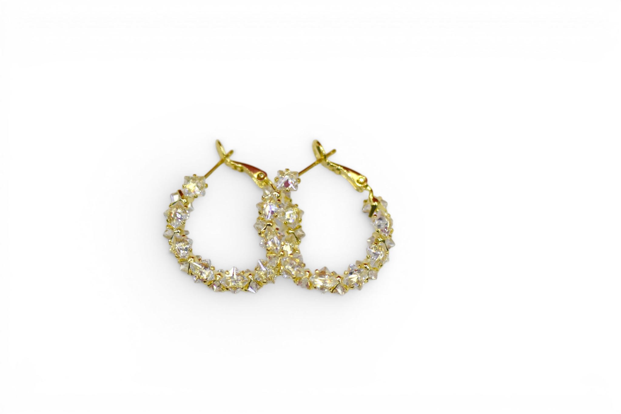 EV-198 Earrings