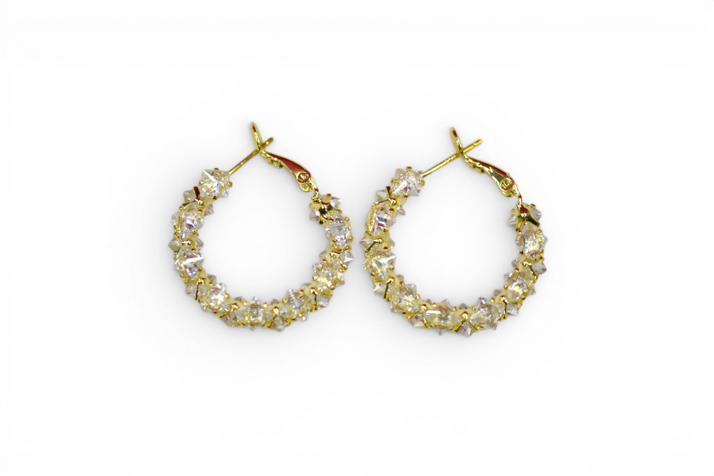 EV-198 Earrings