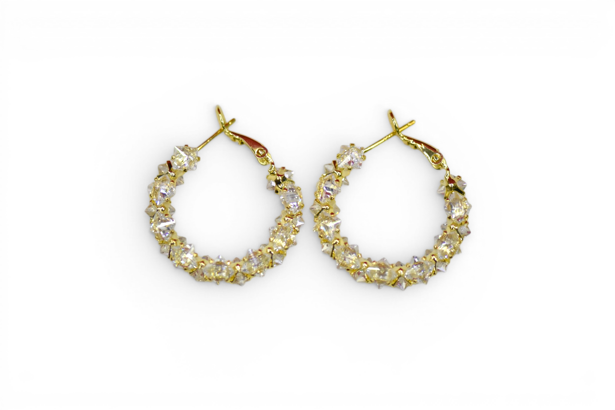 EV-198 Earrings