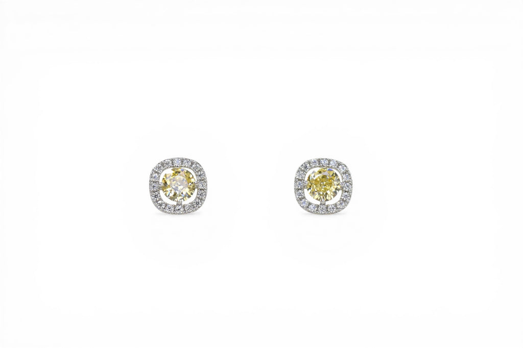EV-105 Earrings