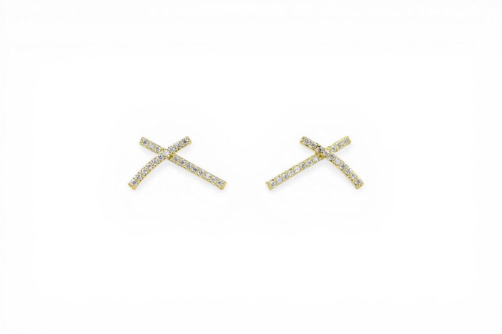 EV-106 Earrings