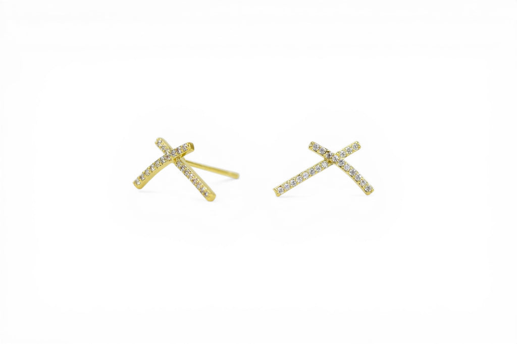 EV-106 Earrings