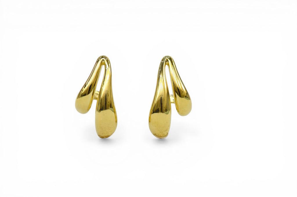 EV-111 Earrings