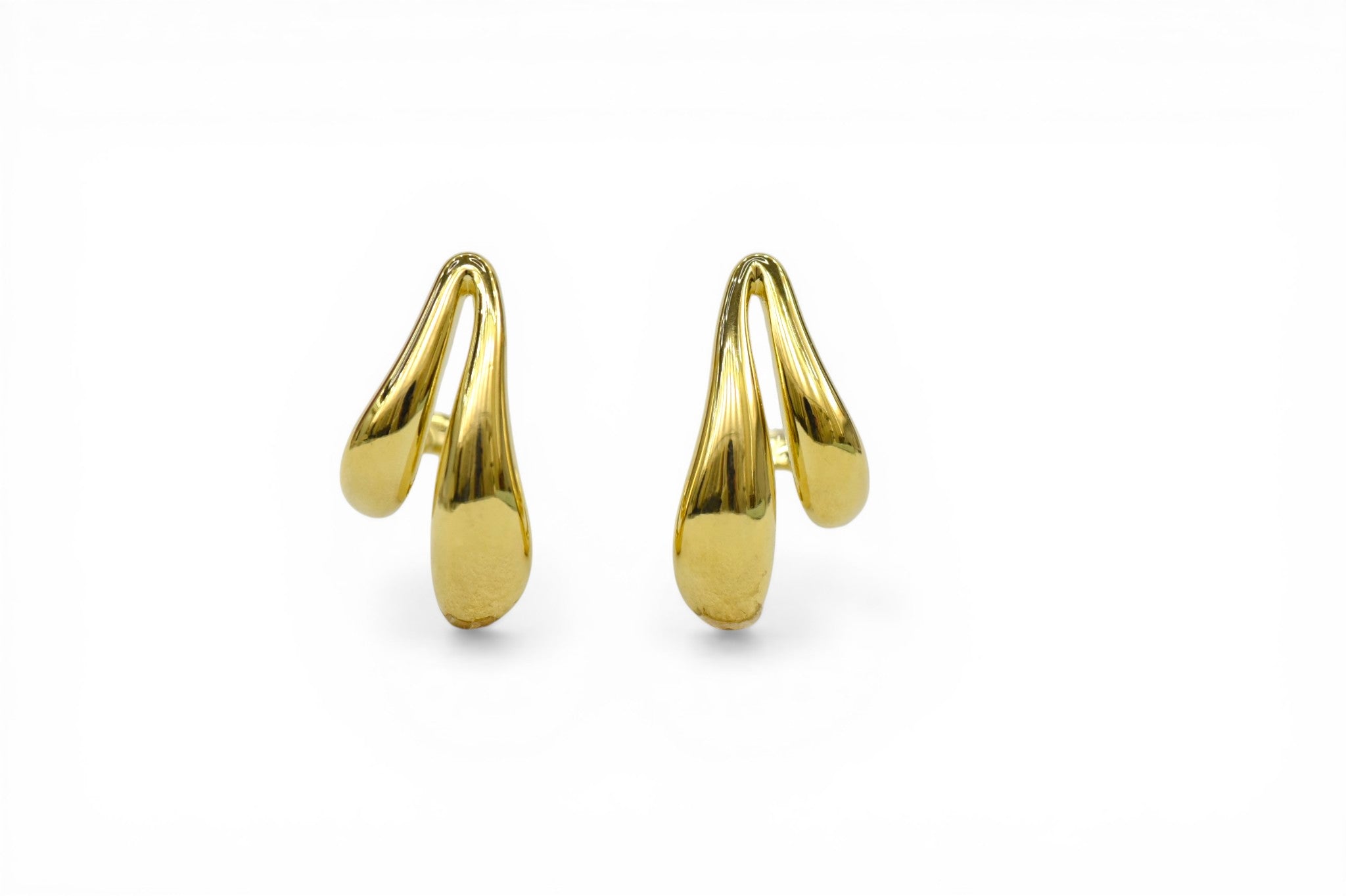 EV-111 Earrings