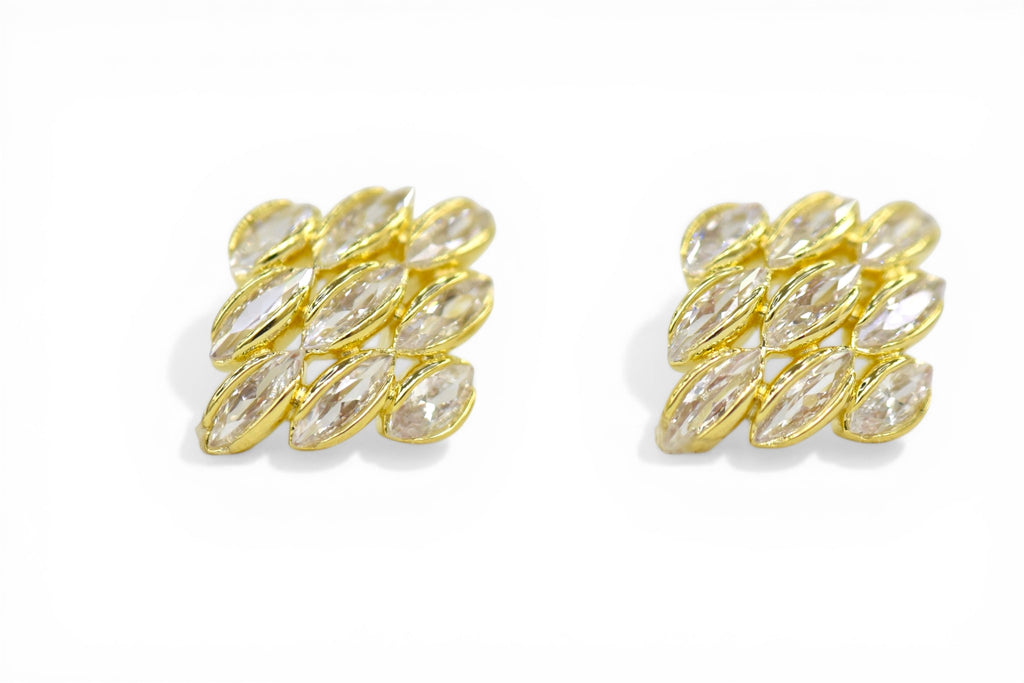 EV-131 Earrings