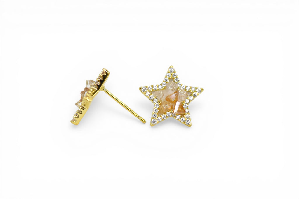 EV-137 Earrings