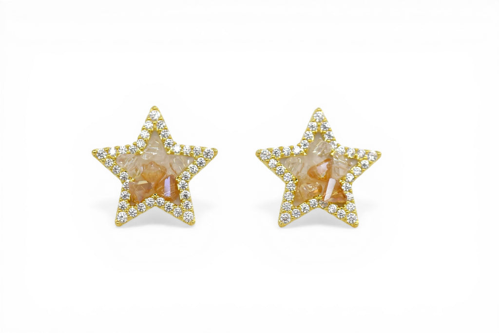 EV-137 Earrings