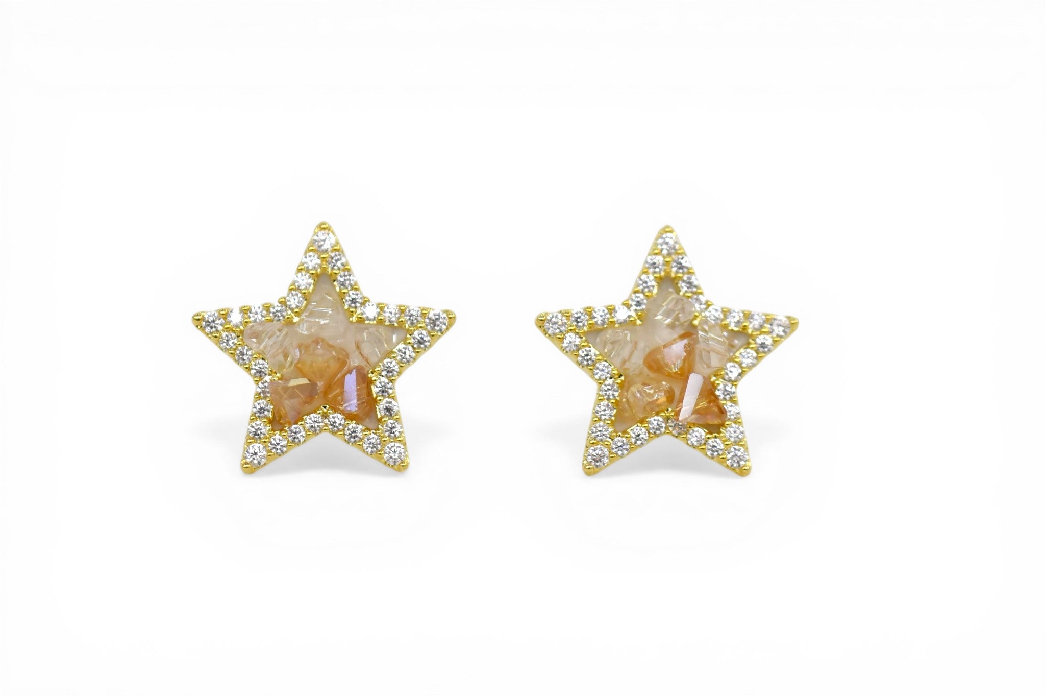 EV-137 Earrings