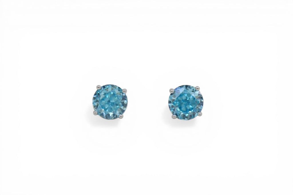 EV-141 Earrings
