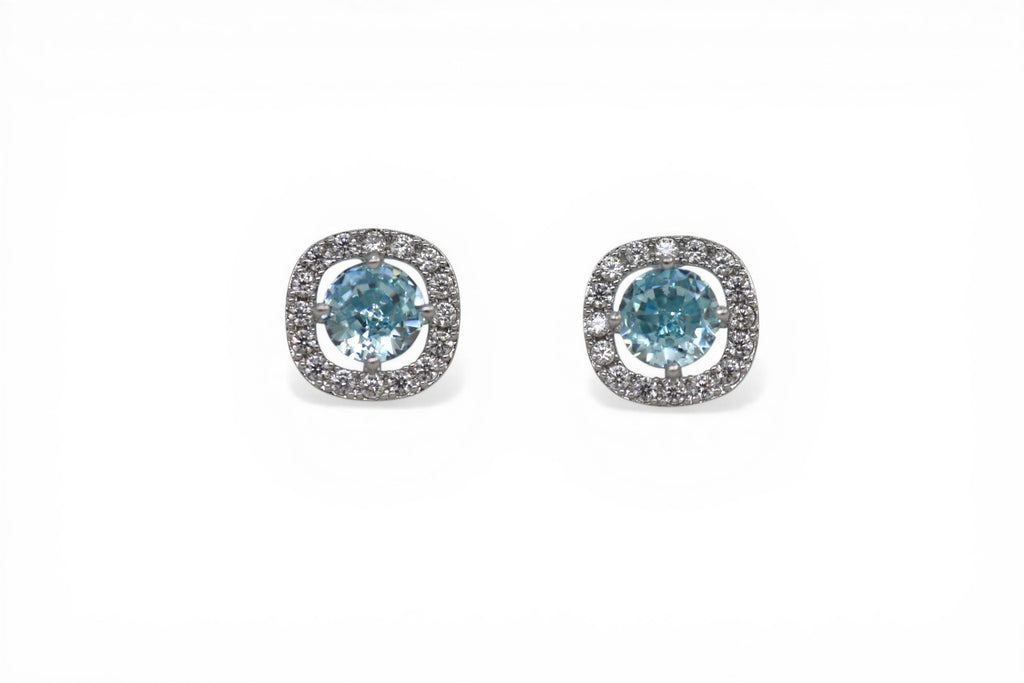 EV-147 Earrings