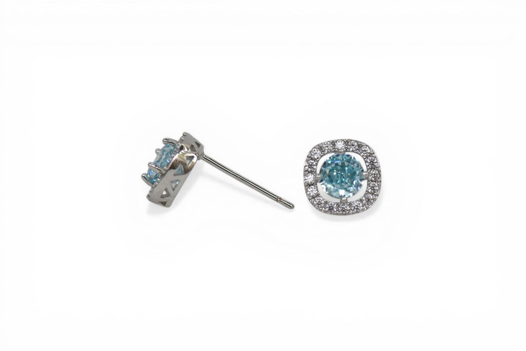 EV-147 Earrings